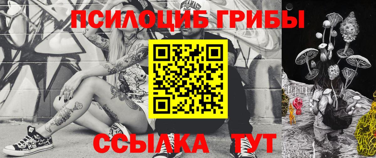 Псилоцибиновые грибы Cubensis Павлово