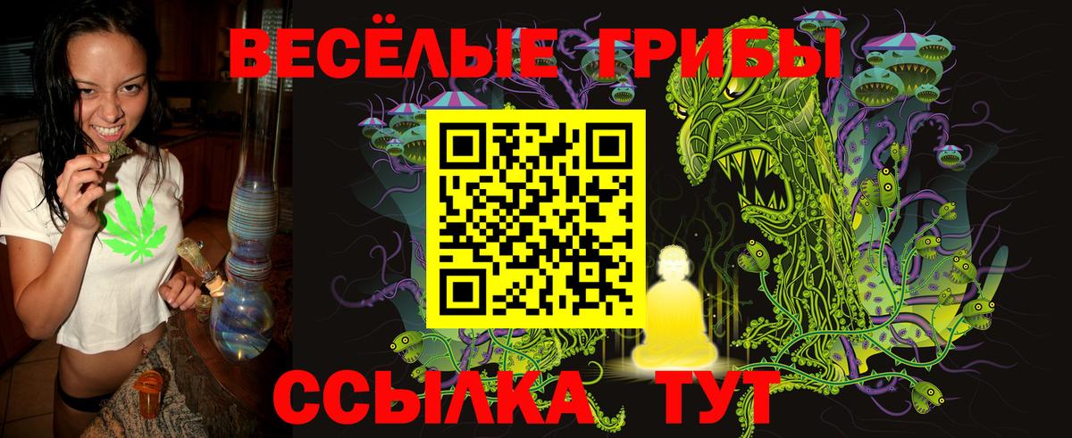Павлово  Псилоцибиновые грибы Magic Shrooms  Галлюциногенные грибы ЛСД  Вход с VPN 